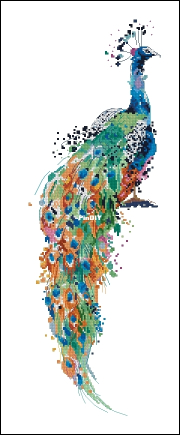 peacock.jpg