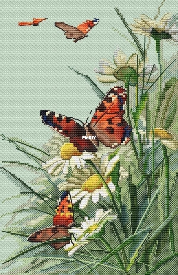Summer by Olga Lankevich.jpg