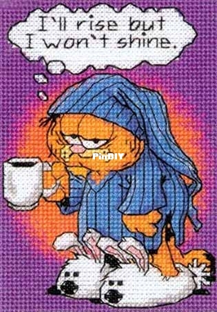 Dimensions 72787 - Garfield I wont shine-o.jpg