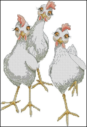 CD004 My chickens.jpg