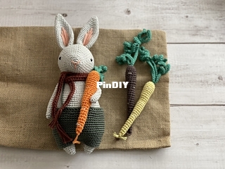 Barnaby the Bunny Rabbit - Lindsey Roe.jpg