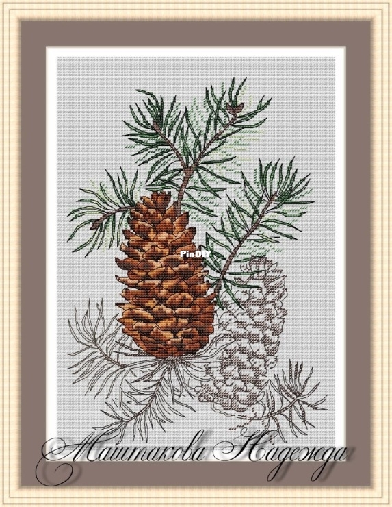 Cones.jpg