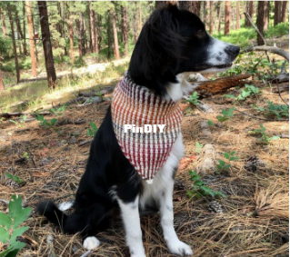 Screenshot 2024-01-19 154629.png