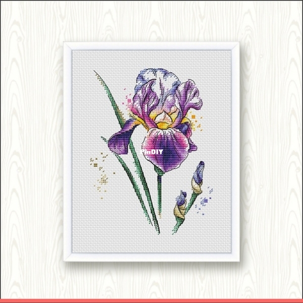 watercolor iris.jpg