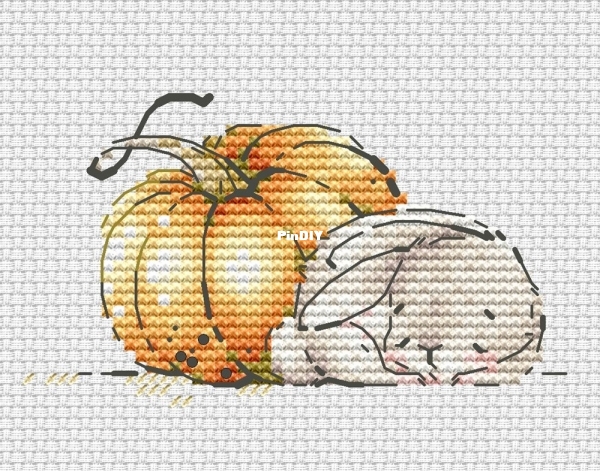 Sweet pumpkin.jpg