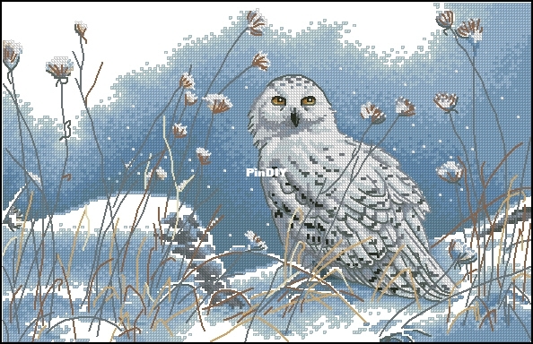 Dimensions - 35221 Northwind Owl.jpg