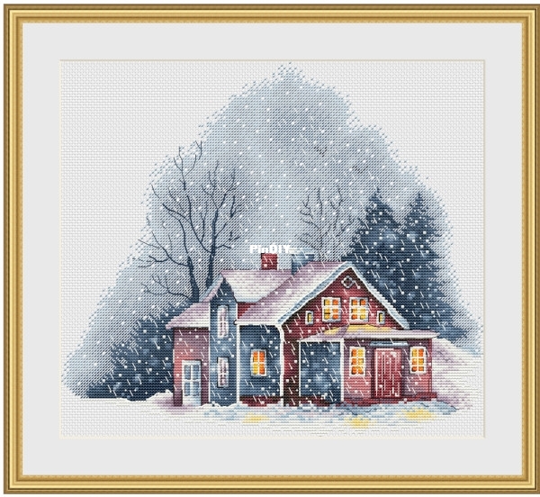 House in the snow.jpg