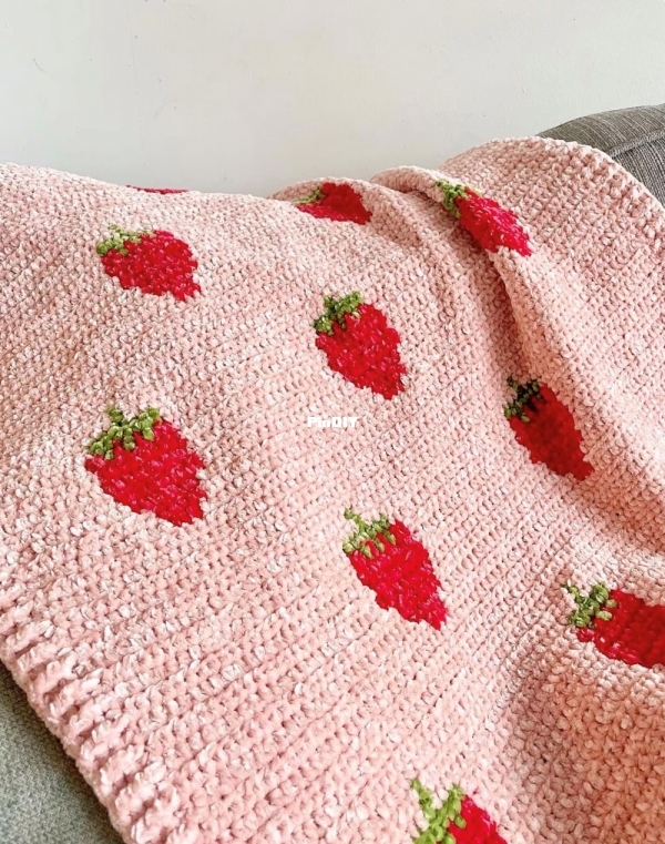 Strawberry blanket.jpg