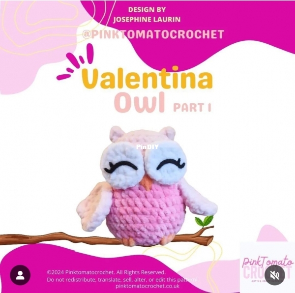 valentina owl pinktomatocrochet.jpeg