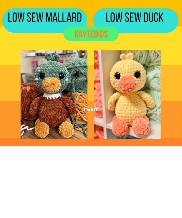 Ducks.jpg