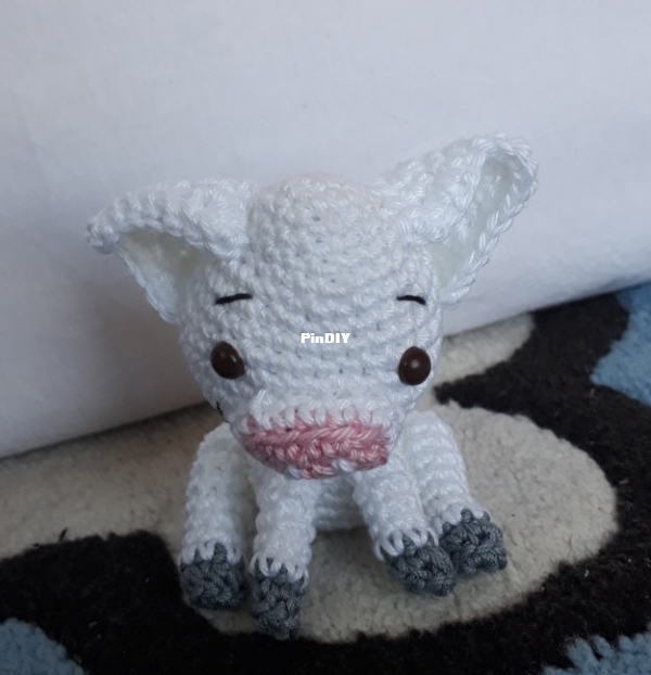 Little pig 