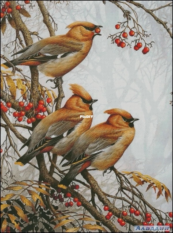 birds on the tree.jpg