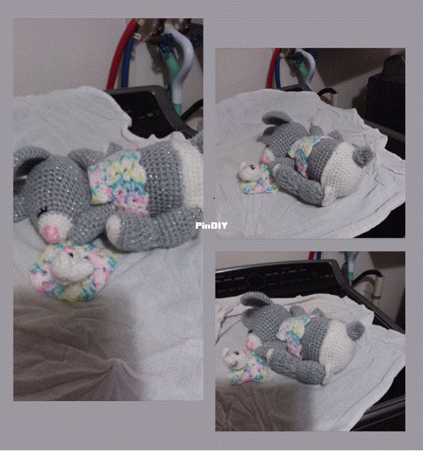 Sleeping Bunny Zuri.gif