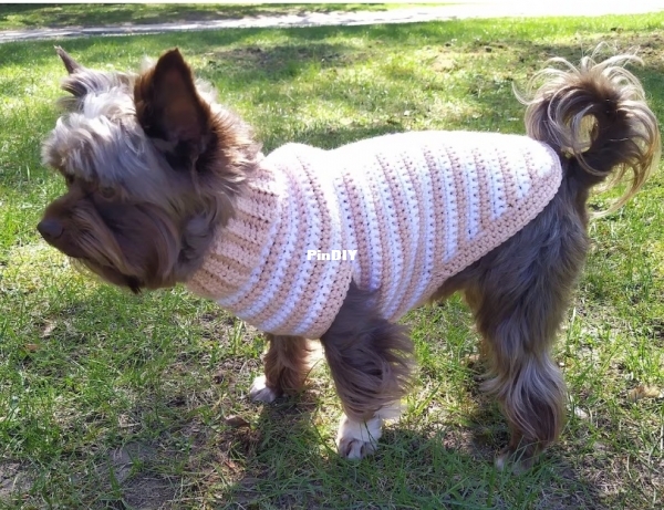 pet sweater.jpg