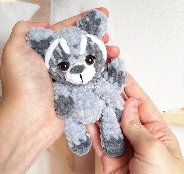 The Raccoon - Antonina Naimonova.jpg