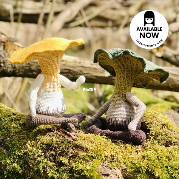chanterelle2.jpg