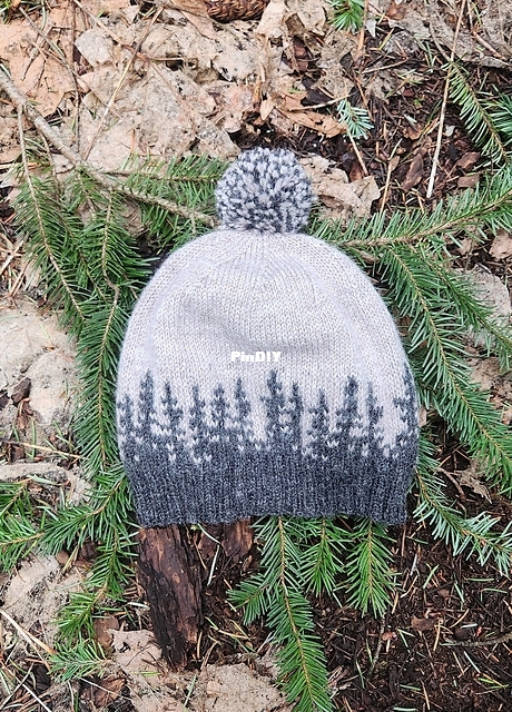 Where the Forest Meets the Sky Beanie.jpg