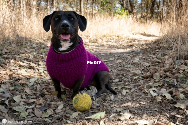 Heart Hook Home - Ashlea Konecny - Stellar Dog Sweater.jpg