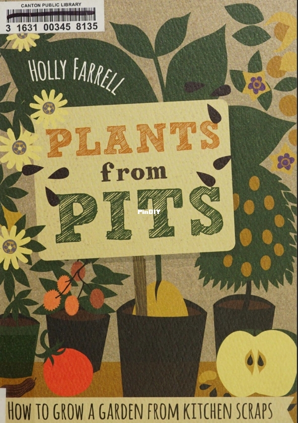 Plants from pits.jpg