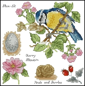 Anchor PSC202 Blue Tits.jpg