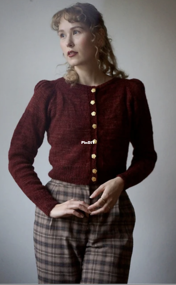 Minerva Cardigan by Helene Arnesen.png