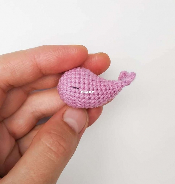 whale