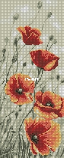 8612.jpg