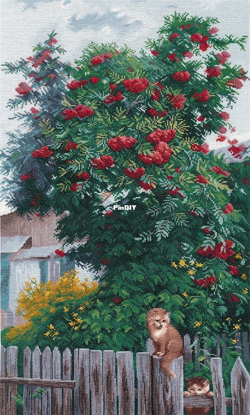 № 1554 Уральская рябина.jpg