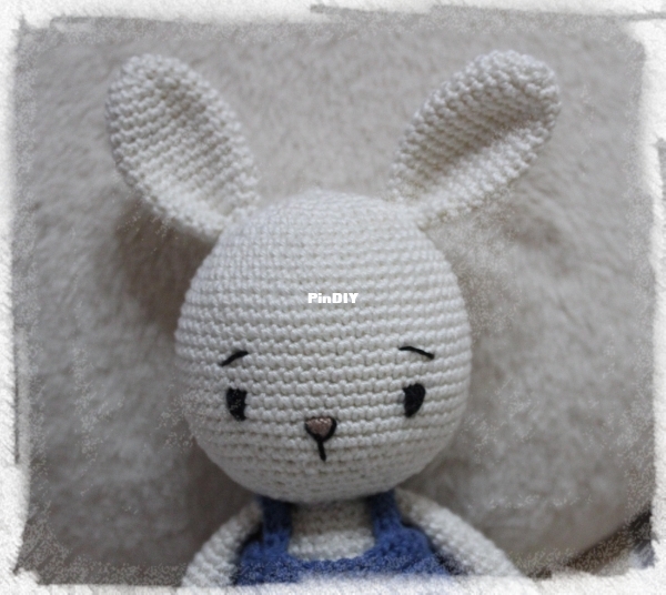 Lapin Alex3.JPG