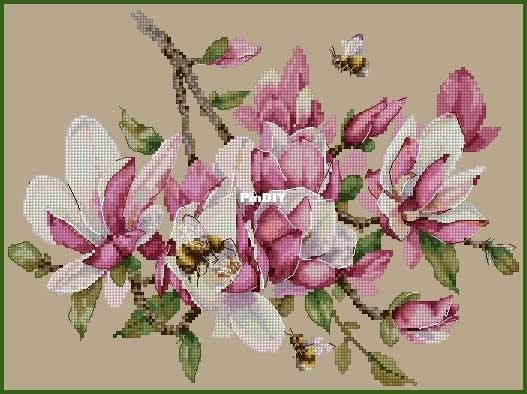 Ameli_Stitch_Magnolia_by_Anna_Smith.jpg