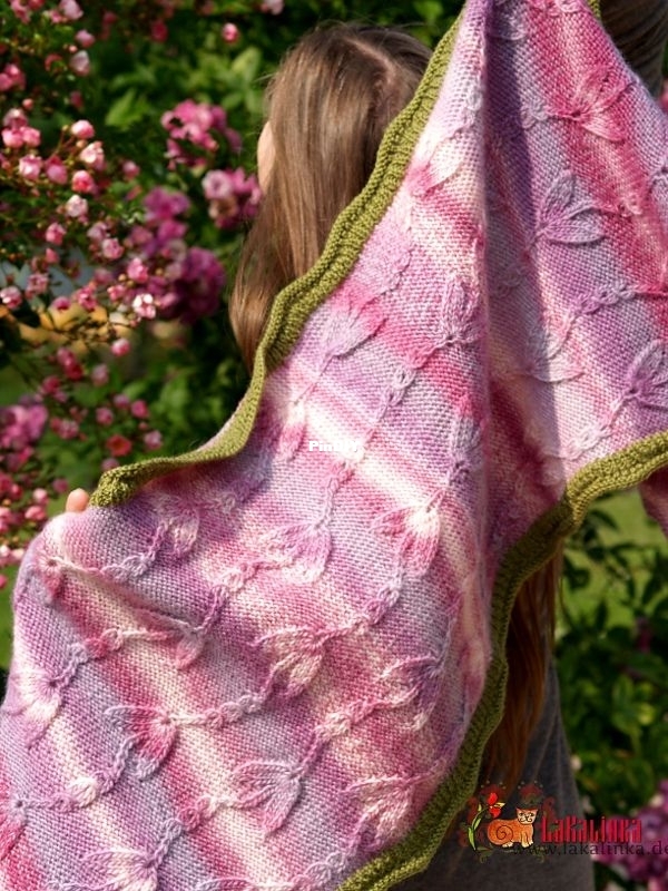 Blauregen Rosa1.jpg