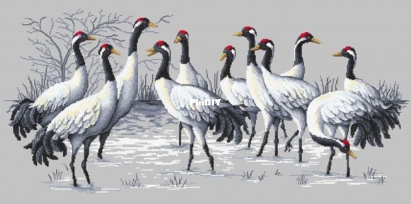 Cranes rally.JPG