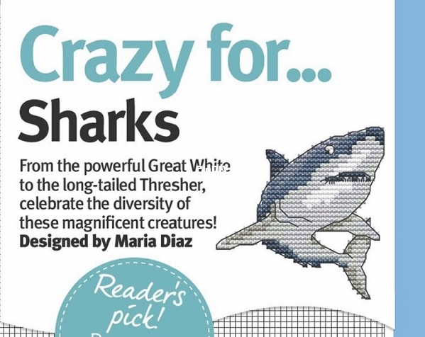 Maria Diaz - Crazy for Sharks - CSC 231.jpg