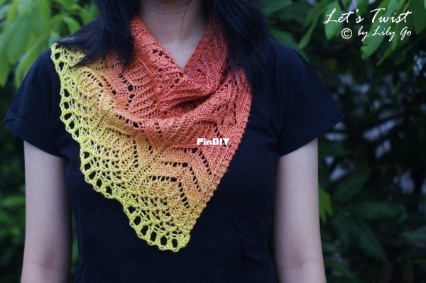 Let_s_Twist_DSC05971.jpg