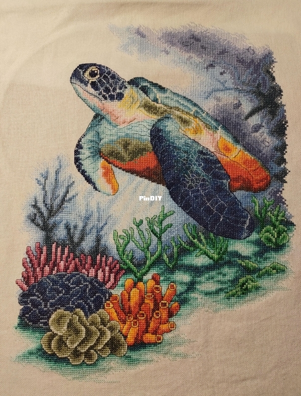 Lanarte Turtle.jpg