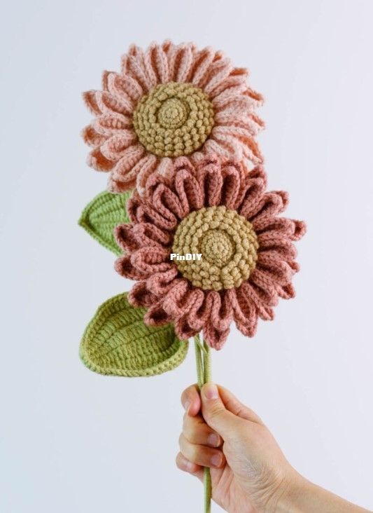 sunflower.jpg
