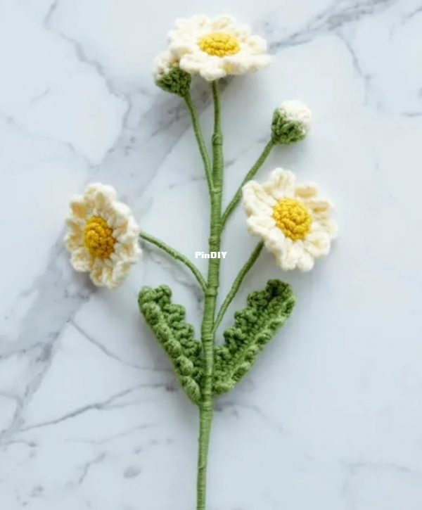 Daisy.jpg