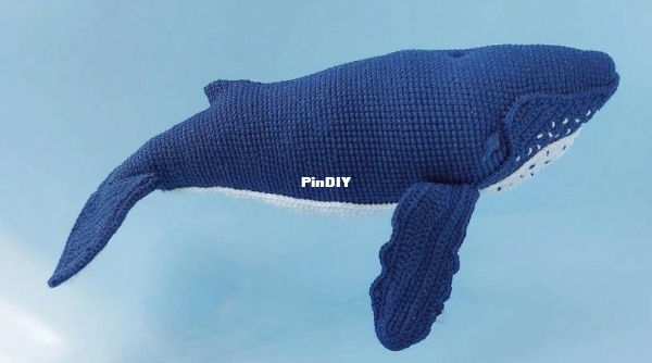 Big blue whale.jpg