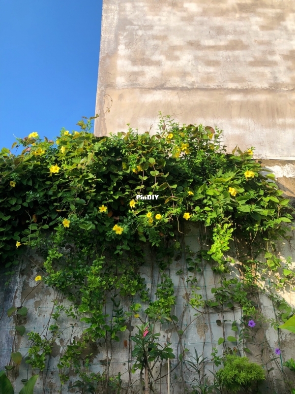 IMG_2362.jpeg