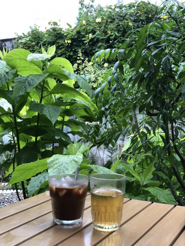 IMG_1920.jpeg