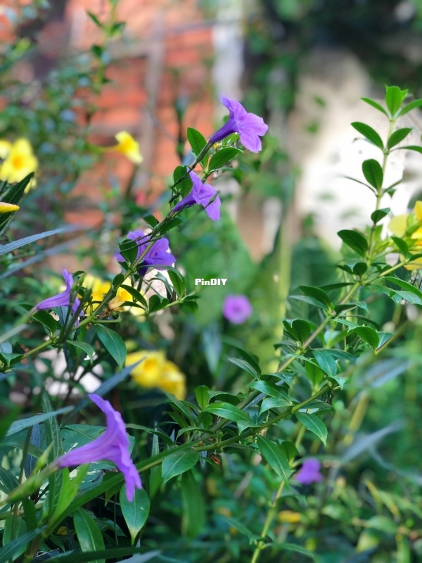 IMG_1847.jpeg