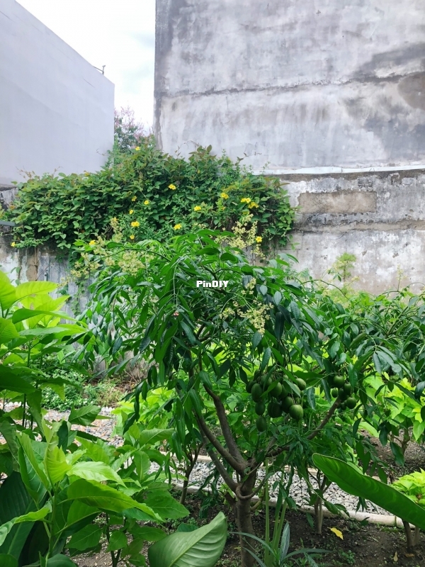 IMG_1504.jpeg