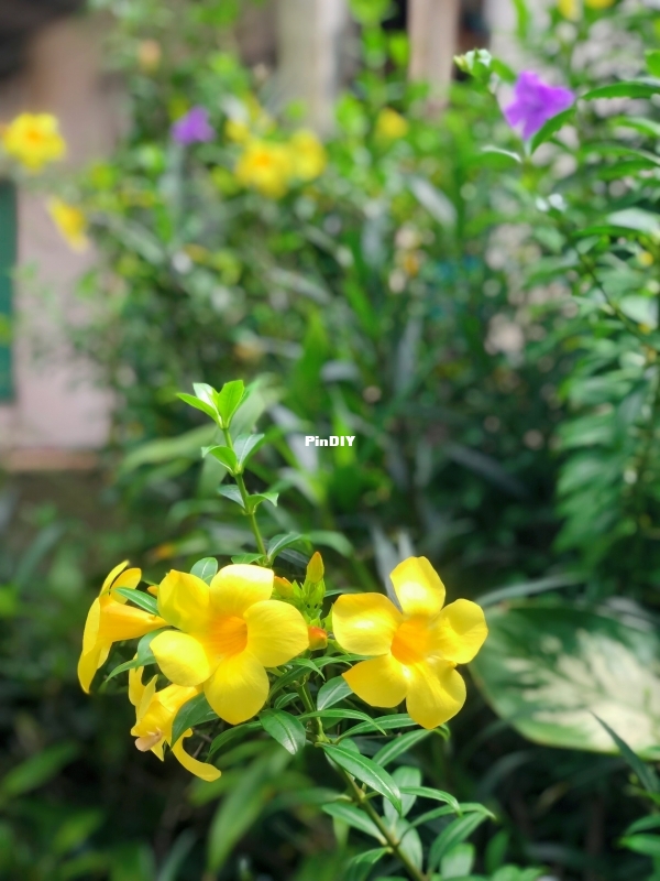 IMG_1514.jpeg