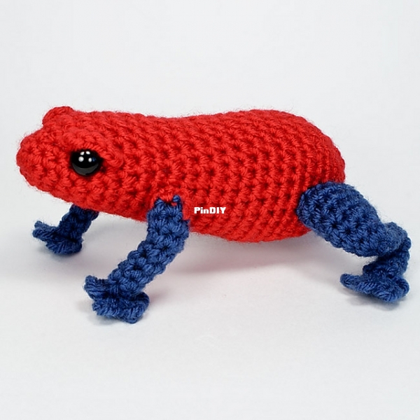 Planet June - June Gilbank - Poison Dart Frog.jpg