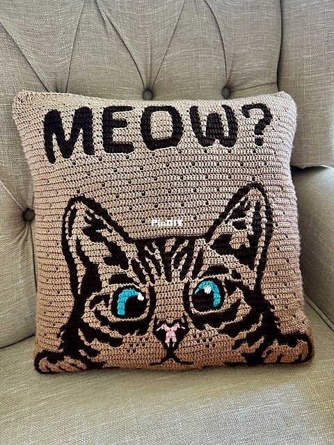 meow.jpeg