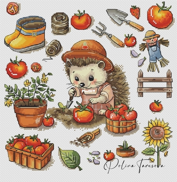 Hedgehog and tomatoes.jpg