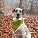 raffa musa designs - Tunisian Crochet Dog Bandana