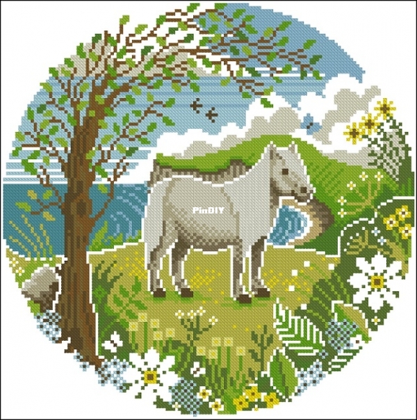 Emma Congdon - Wild Horses - CS 411 XSD.jpg