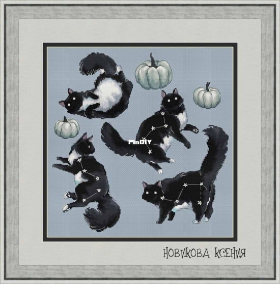 Constellation cat.jpg