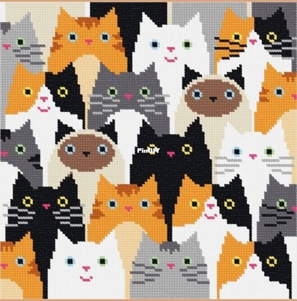 a bunch of cats.jpg